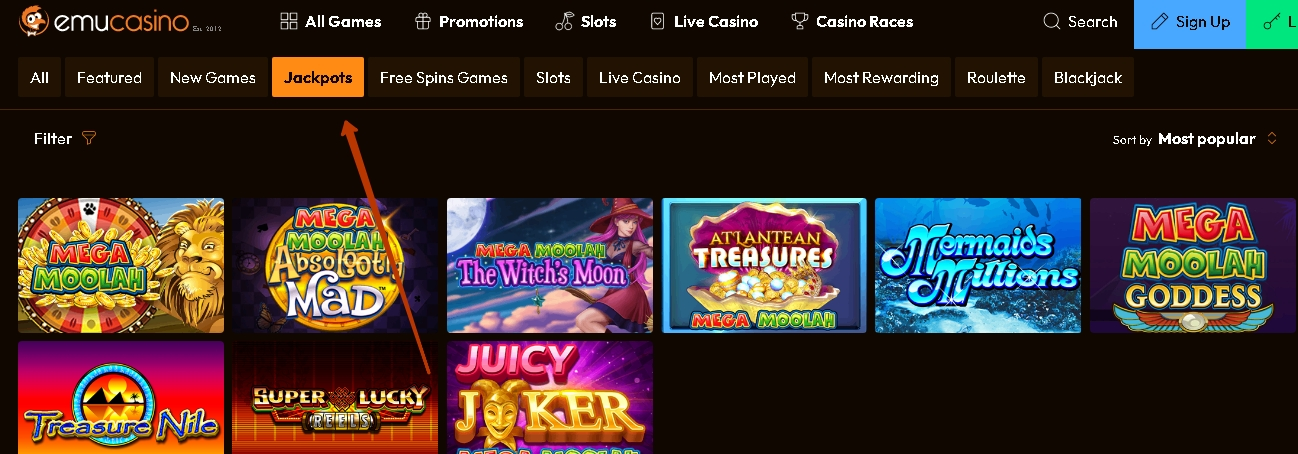 Jackpot and video slot games EmuCasino